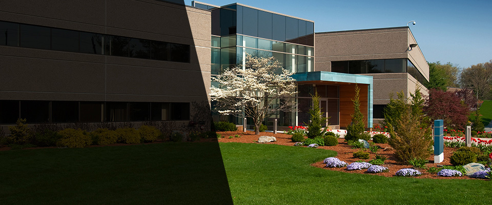 Helena Landscapers