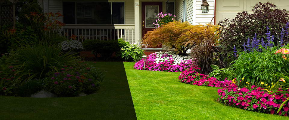 Helena Landscapers