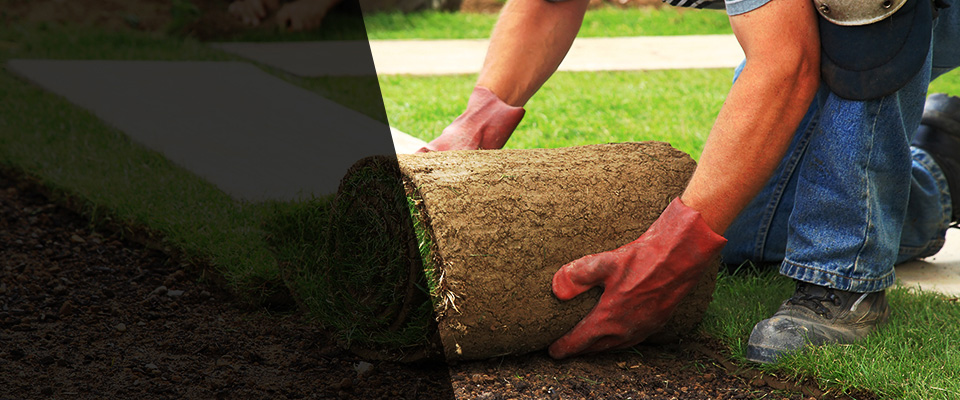 Helena Landscapers